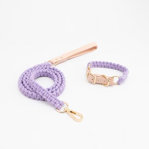 Leder-Hundehalsband, Leine, Set, luxuriös, handgestrickte Hundeleine, weich, für Welpen, Training, Wandern, Seile für Hunde Leder-Hundehalsband, Leine, Set, luxuriös, handgestrickte Hundeleine, weich, für Welpen, Training, Wandern, Seile für Hunde von YEAG