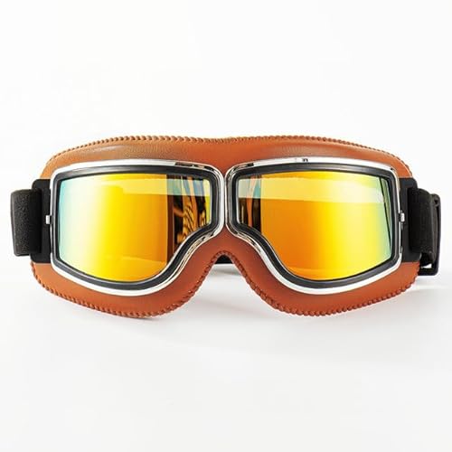 Pet Big Dog Goggles Outdoor Skifahren Off-Road Motorrad Radfahren Brille Winddicht Snowproof Wasserdicht UV-Schutz Sonnenbrille von YEAG