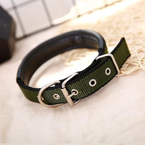 Solides Hundehalsband, Nylon, für kleine, mittelgroße und große Hunde, Teddy, Keji, Pitbull, Bulldogge, Beagle Solides Hundehalsband, Nylon, für kleine, mittelgroße und große Hunde, Teddy, Keji, Pitbull, Bulldogge, Beagle von YEAG