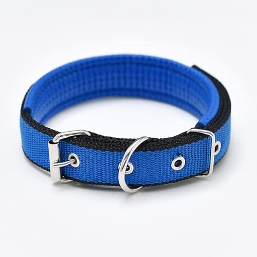 Solides Hundehalsband, Nylon, für kleine, mittelgroße und große Hunde, Teddy, Keji, Pitbull, Bulldogge, Beagle Solides Hundehalsband, Nylon, für kleine, mittelgroße und große Hunde, Teddy, Keji, Pitbull, Bulldogge, Beagle von YEAG