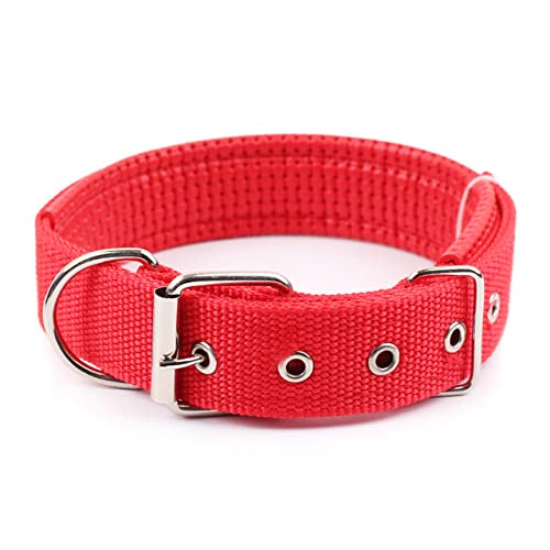 Solides Hundehalsband, Nylon, für kleine, mittelgroße und große Hunde, Teddy, Keji, Pitbull, Bulldogge, Beagle von YEAG