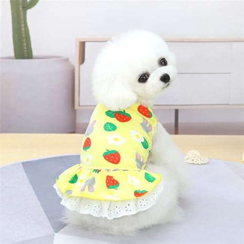 Sommer Katze kleine Hunde Kleidung Rock Baumwolle Gemütliche Haustier Kleider Kleidung für Katzen Niedlich Druck Kätzchen Prinzessin Kleid Ropa Para Gatos von YEAG