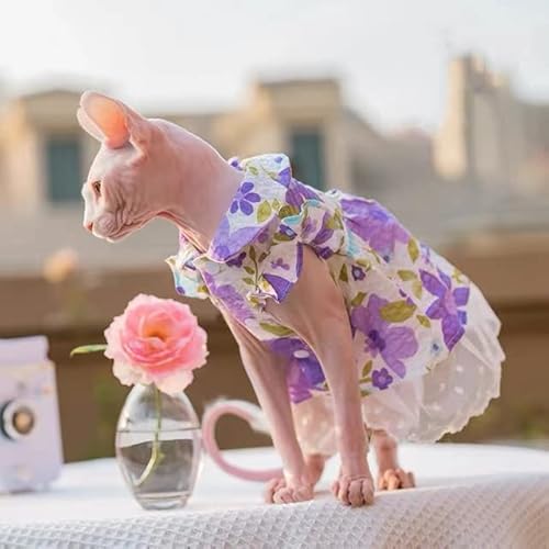 Summer Sphinx Haustier-Kleid, Katzenkleid, Prinzessinnenkleidung für Sphynx, Katze, Kätzchen, florales Strapsmuster, violetter Spitzenrock, Devon Rex, Frühling und Herbst Summer Sphinx Haustier-Kleid, Katzenkleid, Prinzessinnenkleidung für Sphynx, Katze, Kätzchen, florales Strapsmuster, violetter Spitzenrock, Devon Rex, Frühling und Herbst von YEAG
