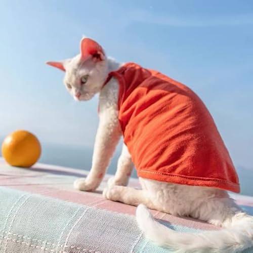 Summer Sphynx Haustier-Kleidung, Baumwolle, Kätzchen, Weste, Shirt für Sphinx, atmungsaktiv, weich, Devon Rex, weiche Kleidung von YEAG