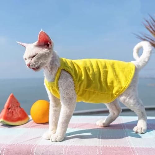Summer Sphynx Haustier-Kleidung, Baumwolle, Kätzchen, Weste, Shirt für Sphinx, atmungsaktiv, weich, Devon Rex, weiche Kleidung von YEAG