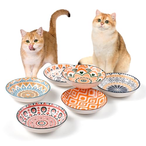 Katzennapf Flach Katzenfutter Napf Futternapf Katze Keramik Katzenteller Katzenschüssel Fressnapf Katze Napf Katzenfressnapf Katzen Napfset Futternapf Fressnapf Katze Keramik Futterschale (6 pcs) Katzennapf Flach Katzenfutter Napf Futternapf Katze Keramik Katzenteller Katzenschüssel Fressnapf Katze Napf Katzenfressnapf Katzen Napfset Futternapf Fressnapf Katze Keramik Futterschale (6 pcs) von YEAHGO