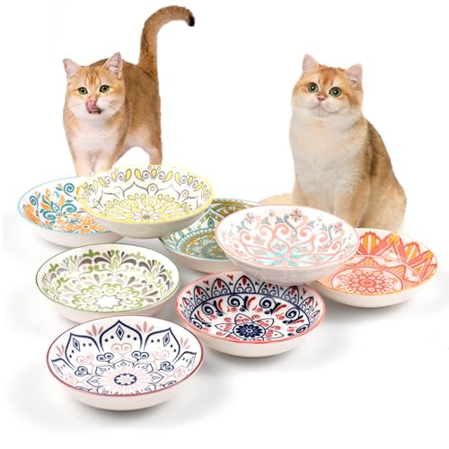 Katzennapf Flach Katzenfutter Napf Futternapf Katze Keramik Katzenteller Katzenschüssel Fressnapf Katze Napf Katzenfressnapf Katzen Napfset Futternapf Fressnapf Katze Keramik Futterschale (8 pcs) Katzennapf Flach Katzenfutter Napf Futternapf Katze Keramik Katzenteller Katzenschüssel Fressnapf Katze Napf Katzenfressnapf Katzen Napfset Futternapf Fressnapf Katze Keramik Futterschale (8 pcs) von YEAHGO