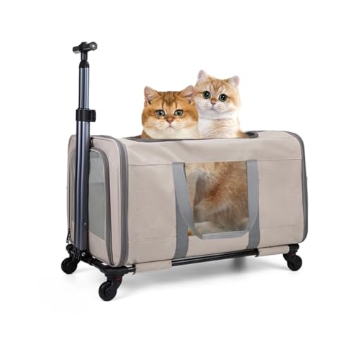 Katzentragetasche für Haustiere mit abnehmbaren Rädern für Katzen, rollende Katzentragetasche groß mit Teleskopgriff, belüftetes Design, tragbare Katzentragetasche für Reisen (Grau, Doppelstange) Katzentragetasche für Haustiere mit abnehmbaren Rädern für Katzen, rollende Katzentragetasche groß mit Teleskopgriff, belüftetes Design, tragbare Katzentragetasche für Reisen (Grau, Doppelstange) von YEALEO