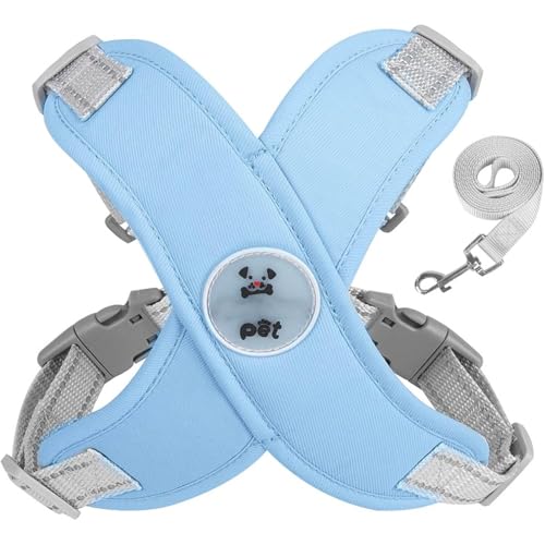 Comfort X Head in Hundegeschirr, gemütliches Set für Hunde und Leine, verstellbar, perfekt für unterwegs, für mittelgroße oder kleine Hunde, für drinnen und draußen, Blau, Größe M (5,4–9 kg)) von YEHOOM