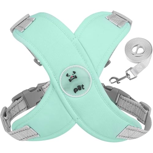 Comfort X Head in Hundegeschirr, gemütliches Set für Hunde und Leine, verstellbar, perfekt für unterwegs, für mittelgroße oder kleine Hunde, für drinnen und draußen, Grün, S (3,6–6,4 kg)) von YEHOOM