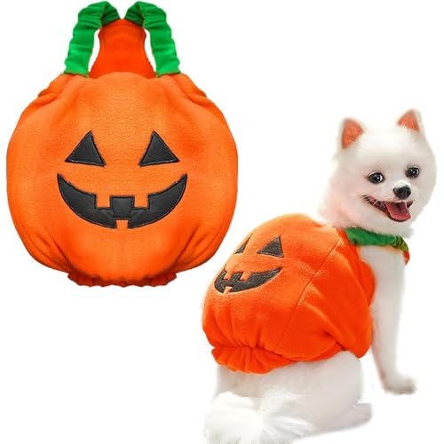 Hunde-Kürbis-Kostüm für Halloween, lustiger Kürbis, Halloween-Kostüm, Haustier, Hund, Katze, dicker Plüsch, Kürbis, Dekoration, Hemd, Kleidung, Halloween-Party, Cosplay, Kostüm, Größe L Hunde-Kürbis-Kostüm für Halloween, lustiger Kürbis, Halloween-Kostüm, Haustier, Hund, Katze, dicker Plüsch, Kürbis, Dekoration, Hemd, Kleidung, Halloween-Party, Cosplay, Kostüm, Größe L von YEHOOM