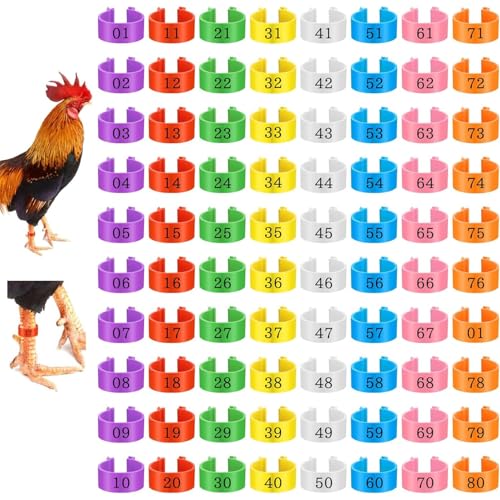YEHOOM Hühnerbeinbänder, 16 mm, in 8 Farben, Geflügelbeinbänder für Enten, Küken, Gans, Wildfaule, Truthahn, 80 Stück YEHOOM Hühnerbeinbänder, 16 mm, in 8 Farben, Geflügelbeinbänder für Enten, Küken, Gans, Wildfaule, Truthahn, 80 Stück von YEHOOM