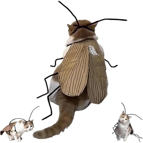 YEHOOM Katzenkostüm für Cosplay, Halloween, Party-Dekoration, Katzenkakerlaken-Kleidung, DIY-Set, lustiges Katzenkostüm mit Rotaugenflügeln (1 Stück) von YEHOOM