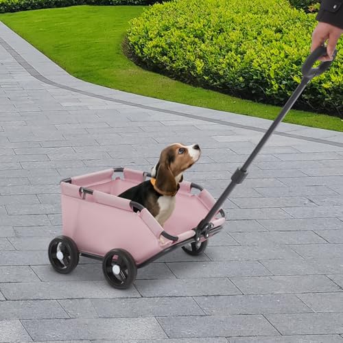 Mini-Hundewagen für Mini-Haustiere, Faltbarer multifunktionaler Einkaufswagen mit ausziehbarem Ziehgriff, Seitentasche und Sicherheitsseil, Haustierwagen 4 Räder für Reisen Einkaufen für Hunde Katzen Mini-Hundewagen für Mini-Haustiere, Faltbarer multifunktionaler Einkaufswagen mit ausziehbarem Ziehgriff, Seitentasche und Sicherheitsseil, Haustierwagen 4 Räder für Reisen Einkaufen für Hunde Katzen von YEITBY