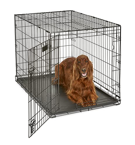 MidWest Homes for Pets iCrate Modell 1542DDU Hundebox, ca. 107 cm lang, mit Einzeltür, auslaufsicherer Bodenwanne, Bodenschutzfüßen, Trenneinsatz und patentierten Funktionen, schwarz von MidWest Homes for Pets
