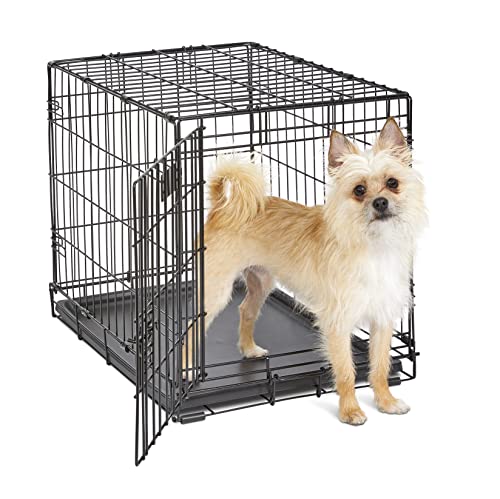 MidWest Homes for Pets iCrate Modell 1524 Hundebox, ca. 61 cm lang, mit Einzeltür, auslaufsicherer Bodenwanne, Bodenschutzfüßen, Trenneinsatz und patentierten Funktionen, schwarz von MidWest Homes for Pets