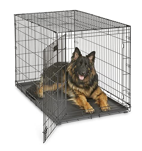 MidWest Homes for Pets iCrate Modell 1548DDU Hundebox, ca. 122 cm lang, mit Einzeltür, auslaufsicherer Bodenwanne, Bodenschutzfüßen, Trenneinsatz und patentierten Funktionen, schwarz von MidWest Homes for Pets