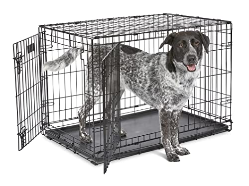 MidWest Homes for Pets iCrate Modell 1536DDU Hundebox, ca. 90 cm lang, mit Doppeltür, auslaufsicherer Bodenwanne, Bodenschutzfüßen, Trenneinsatz und patentierten Funktionen, schwarz von MidWest Homes for Pets