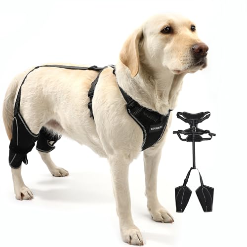 YENBOLOI Hunde-Kniebandage für gerissene Hinterbeine zur Unterstützung bei Kreuzbandverletzungen, luxierender Patella, Arthritis, Hunde-Acl-Kniebandage mit Metallschiene, Scharnierstütze für CCL YENBOLOI Hunde-Kniebandage für gerissene Hinterbeine zur Unterstützung bei Kreuzbandverletzungen, luxierender Patella, Arthritis, Hunde-Acl-Kniebandage mit Metallschiene, Scharnierstütze für CCL von YENBOLOI