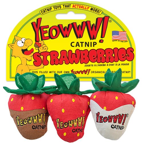YEOWWW!, Erdbeeren Katzenminze Katzenspielzeug, 3 Stück YEOWWW!, Erdbeeren Katzenminze Katzenspielzeug, 3 Stück von YEOWWW!