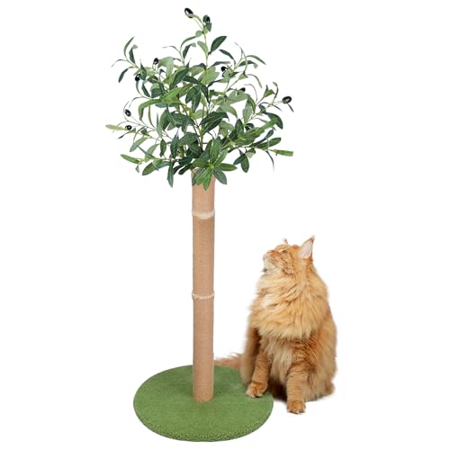Yepdin Kratzbaum für Katzen, groß, mit Sisalseil, niedlicher Kratzbaum in Olivenbaum, 100,1 cm hoch von Yepdin
