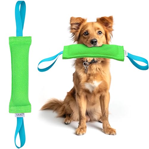 YES4QUALITY Zerrspielzeug für Hunde – 30 x 8,9 cm – Robustes grünes Zugspielzeug mit 2 stabilen blauen Griffen – Robustes Nylonkissen für kleine bis mittelgroße Hunde von YES4QUALITY
