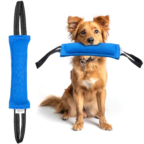 YES4QUALITY Zerrspielzeug für Hunde – 30 x 8,9 cm – Robustes blaues Zugspielzeug mit 2 starken schwarzen Griffen – Robustes Nylonkissen für kleine bis mittelgroße Hunde YES4QUALITY Zerrspielzeug für Hunde – 30 x 8,9 cm – Robustes blaues Zugspielzeug mit 2 starken schwarzen Griffen – Robustes Nylonkissen für kleine bis mittelgroße Hunde von YES4QUALITY