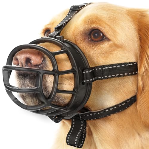 Yes4Quality Hundemaulkorb (klein, schwarz), bequemer Korbmaulkorb mit verstellbaren Riemen, sichere Käfigmundabdeckung, um unerwünschtes Beißen, Kauen und Fressen zu verhindern Yes4Quality Hundemaulkorb (klein, schwarz), bequemer Korbmaulkorb mit verstellbaren Riemen, sichere Käfigmundabdeckung, um unerwünschtes Beißen, Kauen und Fressen zu verhindern von YES4QUALITY