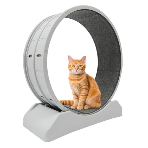 YESTAIM Katze Rennrad mit Haustier Laufband mit Katze Laufband Sport Rad Spielzeug Haustier Gewicht Gerät Grau Fitness Bike YESTAIM Katze Rennrad mit Haustier Laufband mit Katze Laufband Sport Rad Spielzeug Haustier Gewicht Gerät Grau Fitness Bike von YESTAIM
