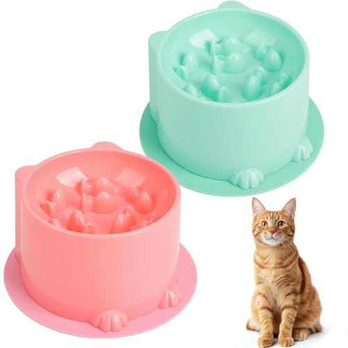4-Teiliges Set Anti Schling Napf Katze Erhöht, Anti Schling Napf Katze Mit Anti Rutsch Matte, Slow Feeder Katzen Napf, Anti-Schluck Schlingnapf Katze Für Katzen Und Kleine Hunde 4-Teiliges Set Anti Schling Napf Katze Erhöht, Anti Schling Napf Katze Mit Anti Rutsch Matte, Slow Feeder Katzen Napf, Anti-Schluck Schlingnapf Katze Für Katzen Und Kleine Hunde von YEWCEP