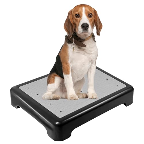 YEXEXINM Hundetraining-Platzbrett mit Rutschfester Oberfläche, Hundeplattform für Training, tragbare Hunde-Agility-Plattform, Hundetrainingsständer, Hundetrainingsgeräte geeignet für kleine, von YEXEXINM