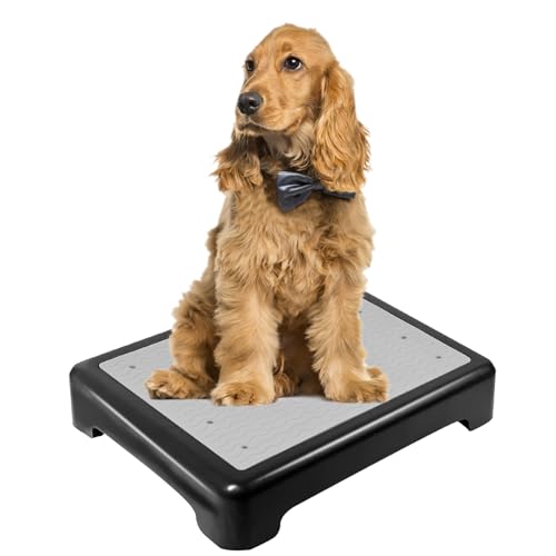 YEXEXINM Hundetraining-Platzbrett mit rutschfester Oberfläche, Hundeplattform für Training, tragbare Hunde-Agility-Plattform, Hundetrainingsständer, Hundetrainingsgeräte geeignet für kleine, von YEXEXINM