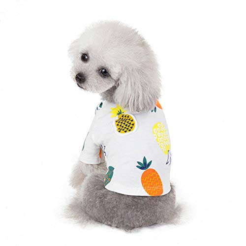 YEZINB Haustier-Hundekleidung Sommerkleidung für Hundehemd Paar-Hunderock Haustierkleidung für Hundehaustier-Kleidung, 5, M von YEZINB