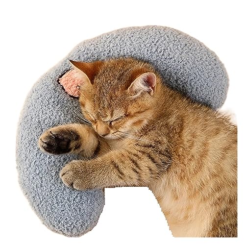 Katze Hängematte Fenster 2 In 1 Hängendes Katzenbett Haustier Katzenhängematte Holz Katzenbett Haus Kätzchen Klettergerüst Sonniger Fenstersitz Nest Haustierzubehör(Pillow) von YFDGD