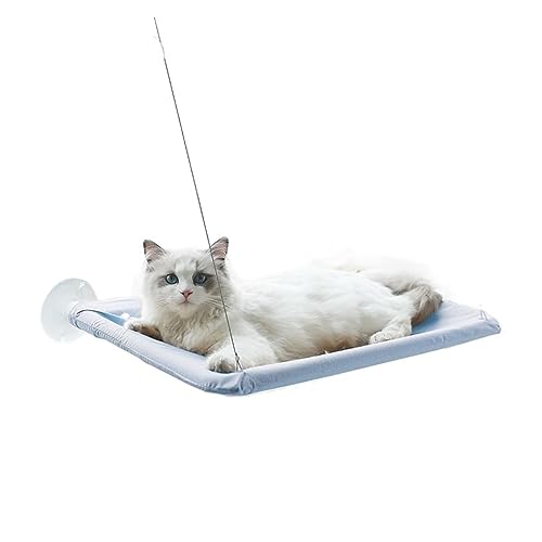 Katze Hängematte Fenster 20 Kg Haustierzubehör, Hängendes Katzenbett, Haustierkatzen-Hängematte, Luft-Katzenbett, Haus, Kätzchen, Klettergerüst, Sonniges Fenstersitznest(1) von YFDGD