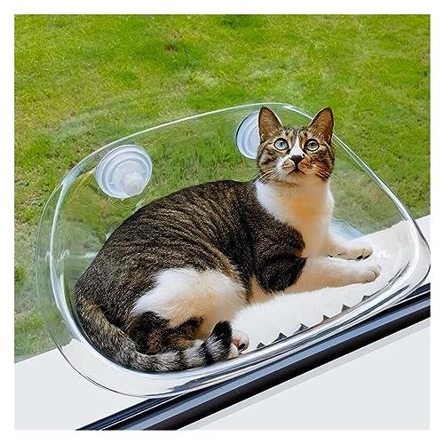 Katze Hängematte Fenster Hängende Katzenhängematte for Aufhängen An Glasfenstern Im Sommer Mit Saugnäpfen, Sling-Sonnenbad for Klettern Von Katzennestern(B) von YFDGD