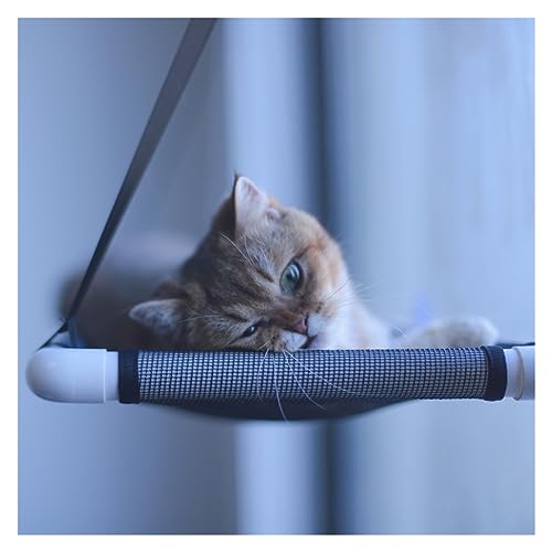 Katze Hängematte Fenster Hängendes Katzenbett, Haustier-Katzenhängematte, Luft-Katzenbett, Haus, Kätzchen, Klettergerüst, Sonniger Fenstersitz, Nest, Lager, Haustierzubehör(Black) von YFDGD