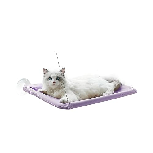 Katze Hängematte Fenster Hängendes Katzenbett, Haustier-Katzenhängematte, Luft-Katzenbett, Haus, Kätzchen, Klettergerüst, Sonniger Fenstersitz, Nest, Lager 20 Kg, Haustierzubehör(Pruple) von YFDGD