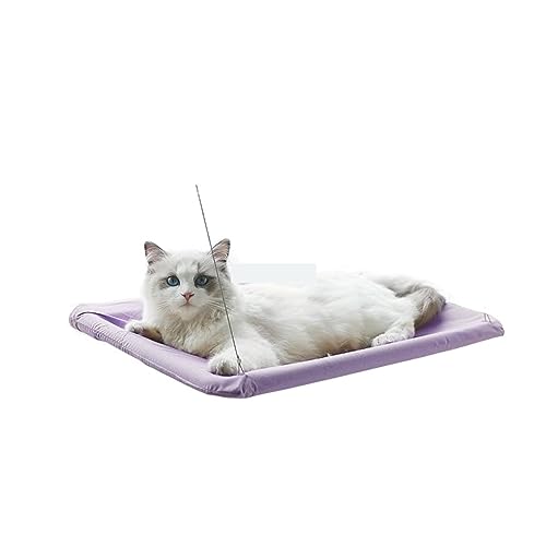 Katze Hängematte Fenster Hängendes Katzenbett, Haustier-Katzenhängematte, Luft-Katzenbett, Haus, Kätzchen, Klettergerüst, Sonniger Fenstersitz, Nest, Lager 20 Kg, Haustierzubehör(Purple) von YFDGD