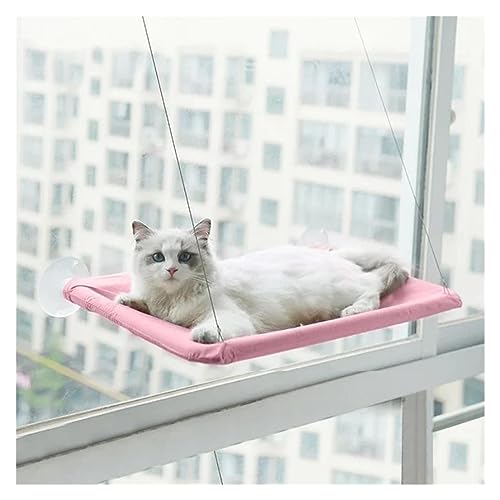 Katze Hängematte Fenster Haustier Hängende Katze Hängematte Luft Kätzchen Bett Haus Mit Saugnapf Klettergerüst Sunny Fenster Ruhe Sitz Haustier Zubehör(Pink) von YFDGD
