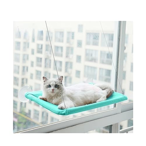 Katze Hängematte Fenster Haustier-Katzen-Hängematte, Hängendes Katzenbett, Lager 20 Kg, Komfortables Kätzchen-Klettergerüst, Katze, Sonniger Fenstersitz, Katzenbett-Zubehör(Green) von YFDGD