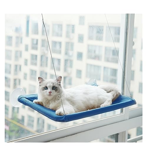 Katze Hängematte Fenster Haustier-Katzen-Hängematte, Hängendes Katzenbett, Lager 20 Kg, Komfortables Kätzchen-Klettergerüst, Katze, Sonniger Fenstersitz, Katzenbett-Zubehör(Navy) von YFDGD