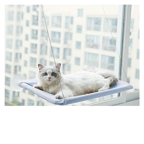 Katze Hängematte Fenster Haustierbett, Katzenfenster-Hängematte, 360° Sonniger Sitz, Platzsparende Katzenbetten for Katzen Im Innenbereich, Hängerahmen, Schlafschaukel-Zubehör(Blue) von YFDGD