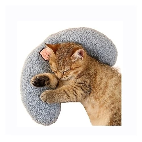 Katze Hängematte Fenster Katzenbett for Aufhängen Am Fenster, Katzenhängematte, Weiches Haustierbett, Haus, Kätzchen, Klettergerüst, Sonniger Fenstersitz, Nest, Lager 20 Kg, Katzenzubehör(Pillow) von YFDGD