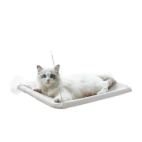 Katze Hängematte Fenster Katzenfenster-Hängemattensitz, Großes Katzen-Hängemattenbett for Drinnen, Katzen, Ruhesitz, Sicherheit, Atmungsaktiv, Waschbar(Purple) von YFDGD