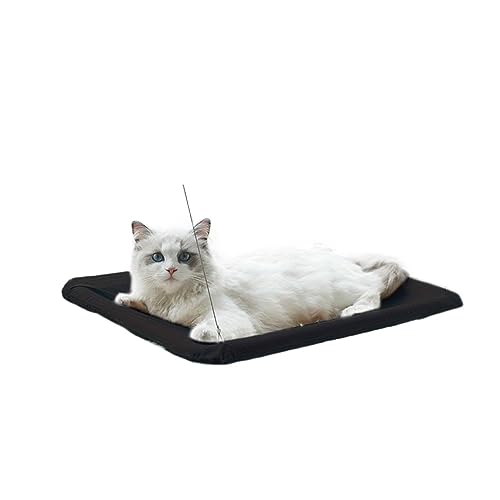 Katze Hängematte Fenster Katzenhängematte, 360° Sonniger Sitz, Platzsparende Katzenbetten for Katzen Im Innenbereich, Hängegestell, Schlafschaukel-Zubehör(Black) von YFDGD
