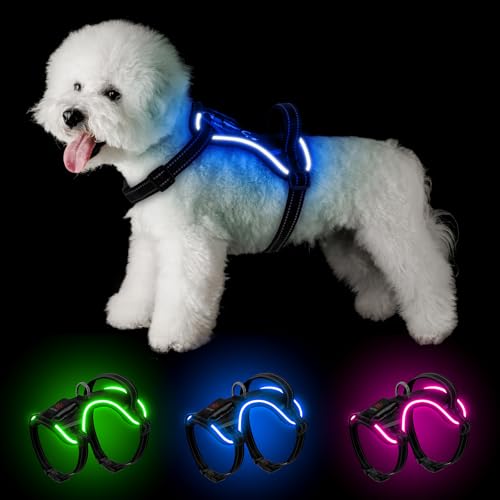 Mehrfarbiges Leuchtgeschirr für Hunde – YFbrite Hundegeschirr Leuchtend mit 7 Blinkmodi (Typ-C USB wiederaufladbar, verstellbar, leicht, regenfest) (Schwarz, XS) von YFbrite