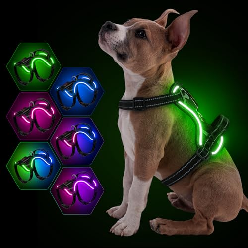 YFbrite 7 Blinkmodi LED Hundegeschirr Verstellbar, Brustgeschirr für Kleine, Mittlere Große Hunde Leucht Geschirr (Schwarz, M) von YFbrite