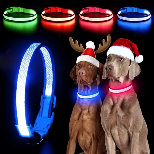 Wiederaufladbares LED-Welpenhalsband, YFbrite LED-Katzenhalsband, Bequem Leuchtende Welpenhalsbänder (Blau, Medium) von YFbrite