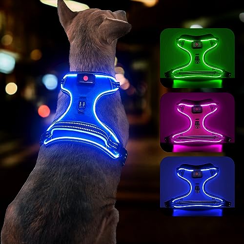 YFbrite Beleuchtetes Hundegeschirr – USB wiederaufladbares beleuchtetes Hundegeschirr, langlebiges LED-Hundegeschirr, verstellbares Hundegeschirr Licht für kleine, mittelgroße und große Hunde (Version von YFbrite